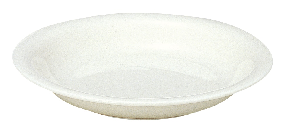 山万 ボーンセラム　22.5cmカレースパゲティボウル 1個（ご注文単位1個）【直送品】