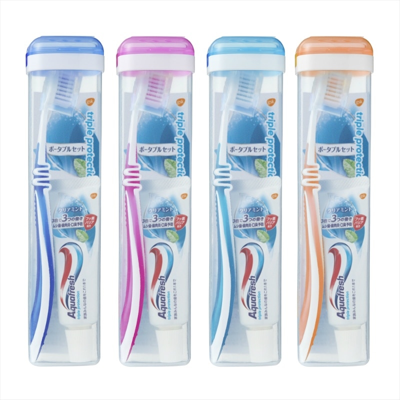 グラクソ・スミスクライン アクアフレッシュトラベルソフトケース 1個(ご注文単位1個)【直送品】