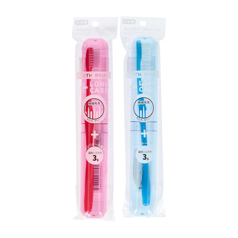 アヌシ おとなのケース付ハブラシ 1個（ご注文単位1個）【直送品】