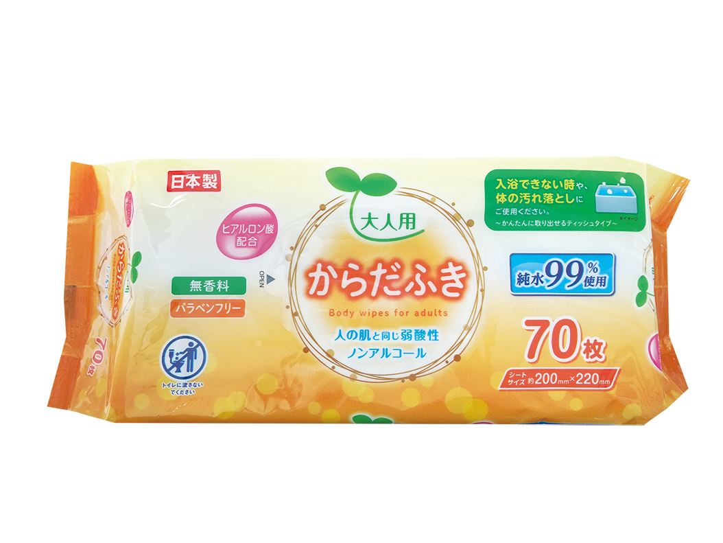 ライフ堂 大人用からだふき70枚 70枚/パック（ご注文単位1パック）【直送品】