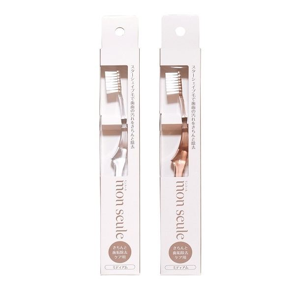 太陽刷子 モンスール きちんと歯垢除去ケア用 1本/パック（ご注文単位1パック）【直送品】