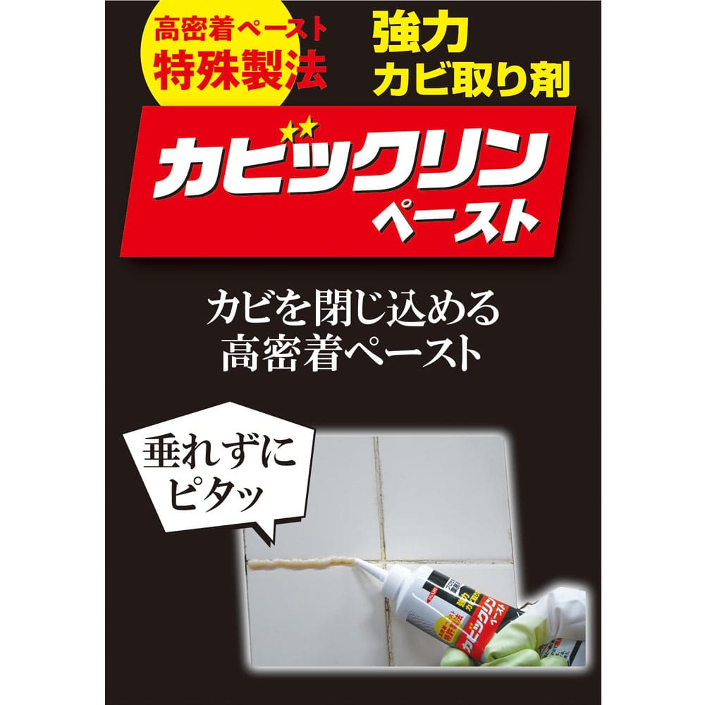 イカリ消毒 イカリ カビックリンペースト 120g 1個(ご注文単位1個)【直送品】