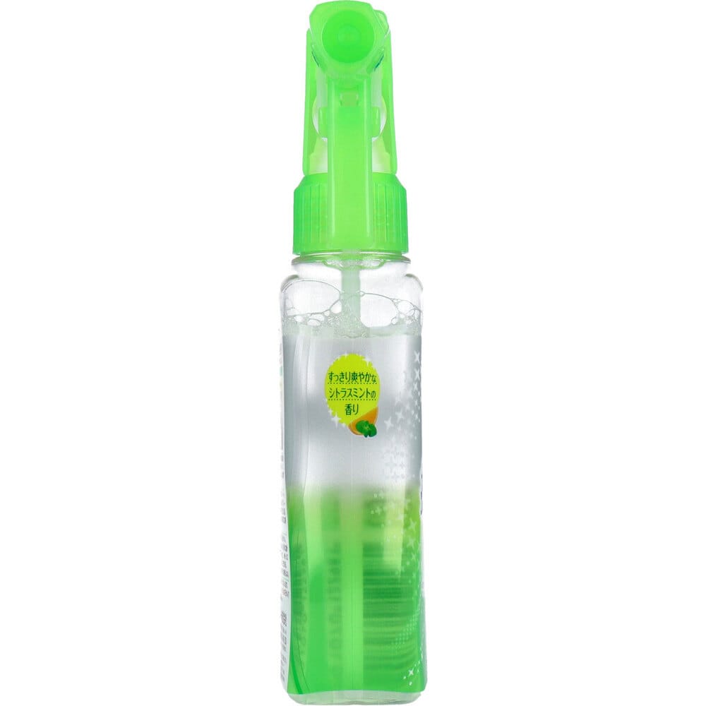 エステー 消臭力 生ゴミ用スプレー シトラスミントの香り 200mL 1個(ご注文単位1個)【直送品】