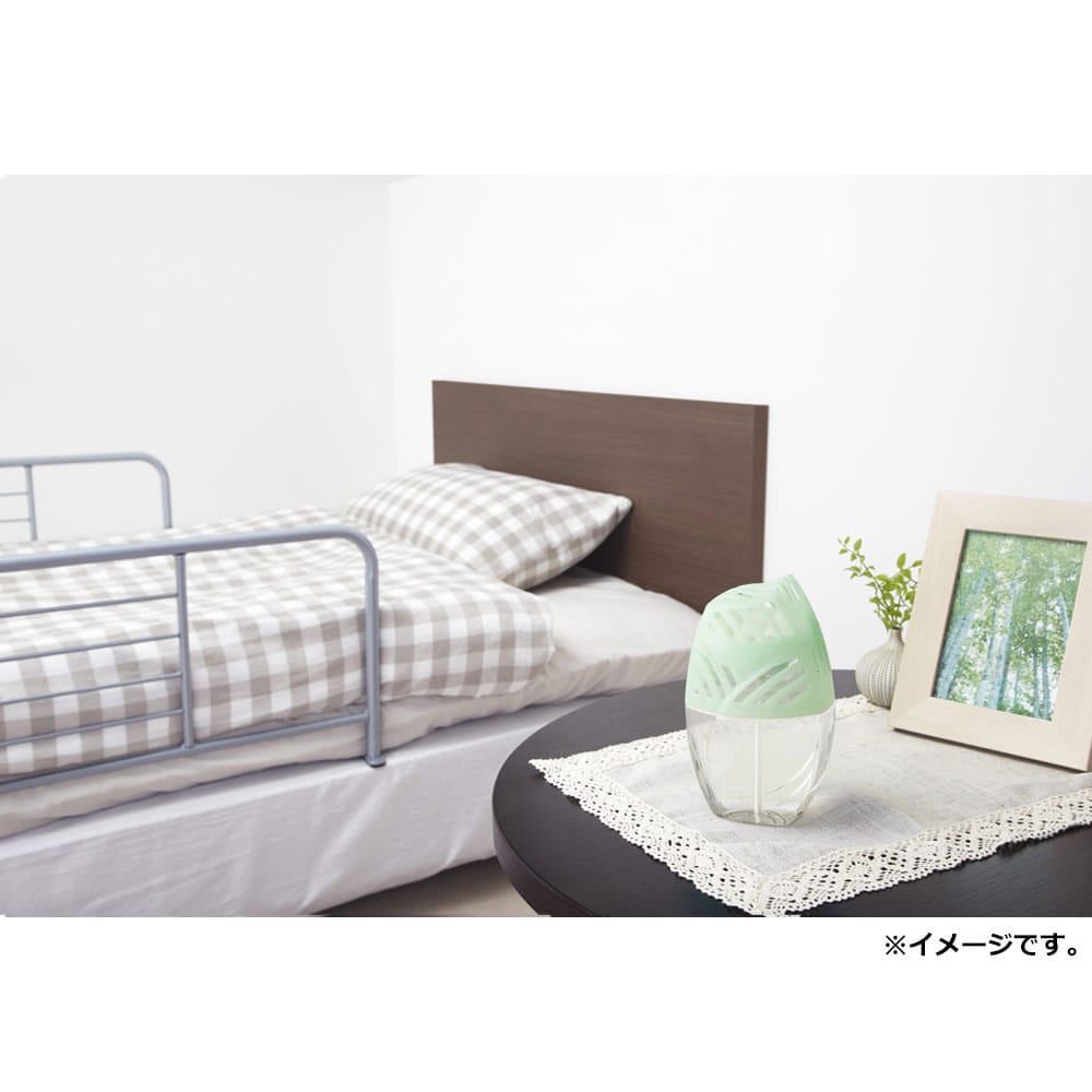 エステー エールズ 消臭力 介護用 さわやかグリーンハーブの香り 400mL 1個(ご注文単位1個)【直送品】