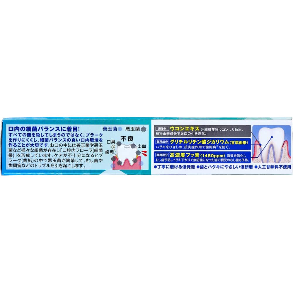 サラヤ クルクリン PGガード デンタルペースト ペパーミントの香味 90g 1個(ご注文単位1個)【直送品】