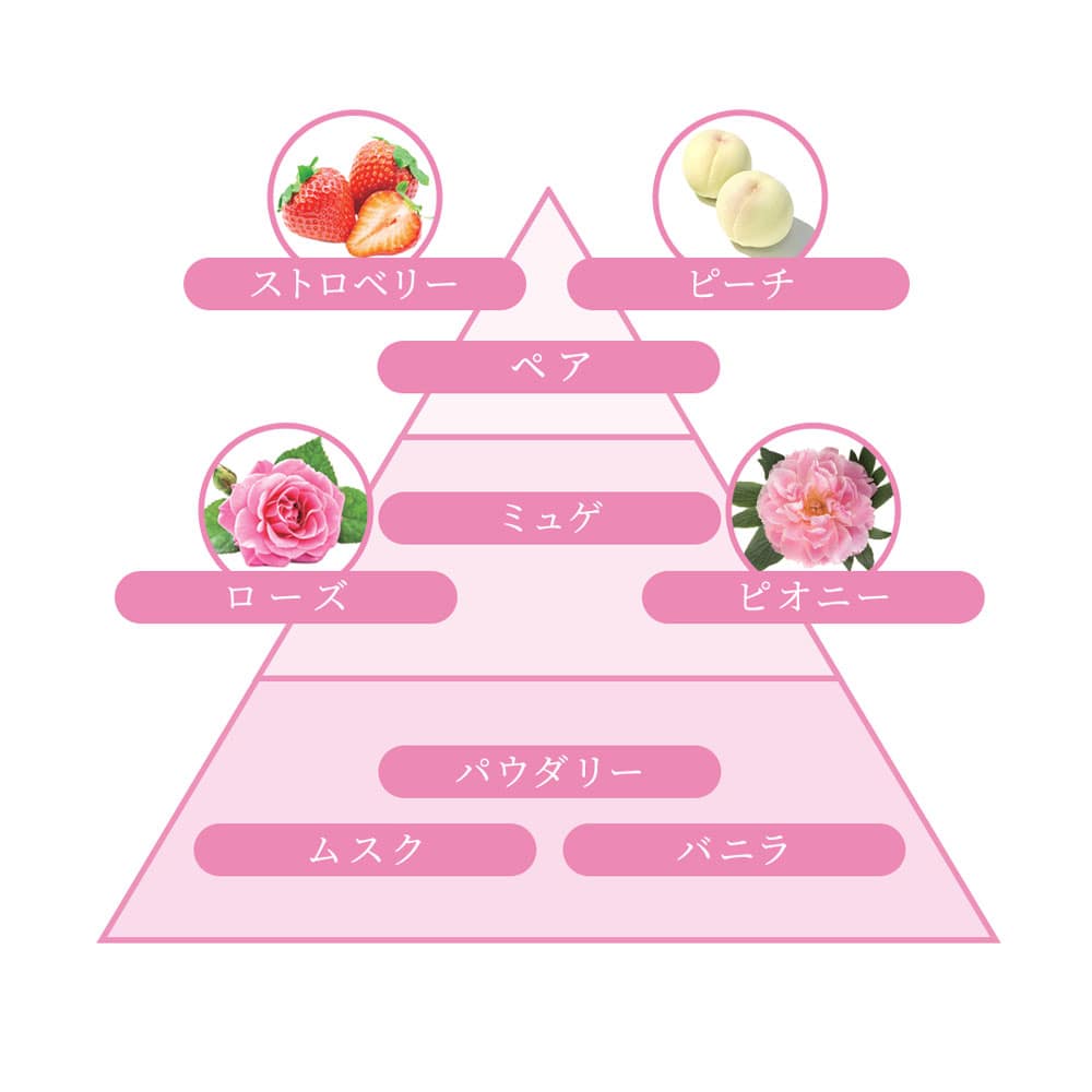 ライオン 業務用 ソフラン アロマリッチ 柔軟剤 キャサリン フローラルブーケアロマの香り 4L 1個(ご注文単位1個)【直送品】