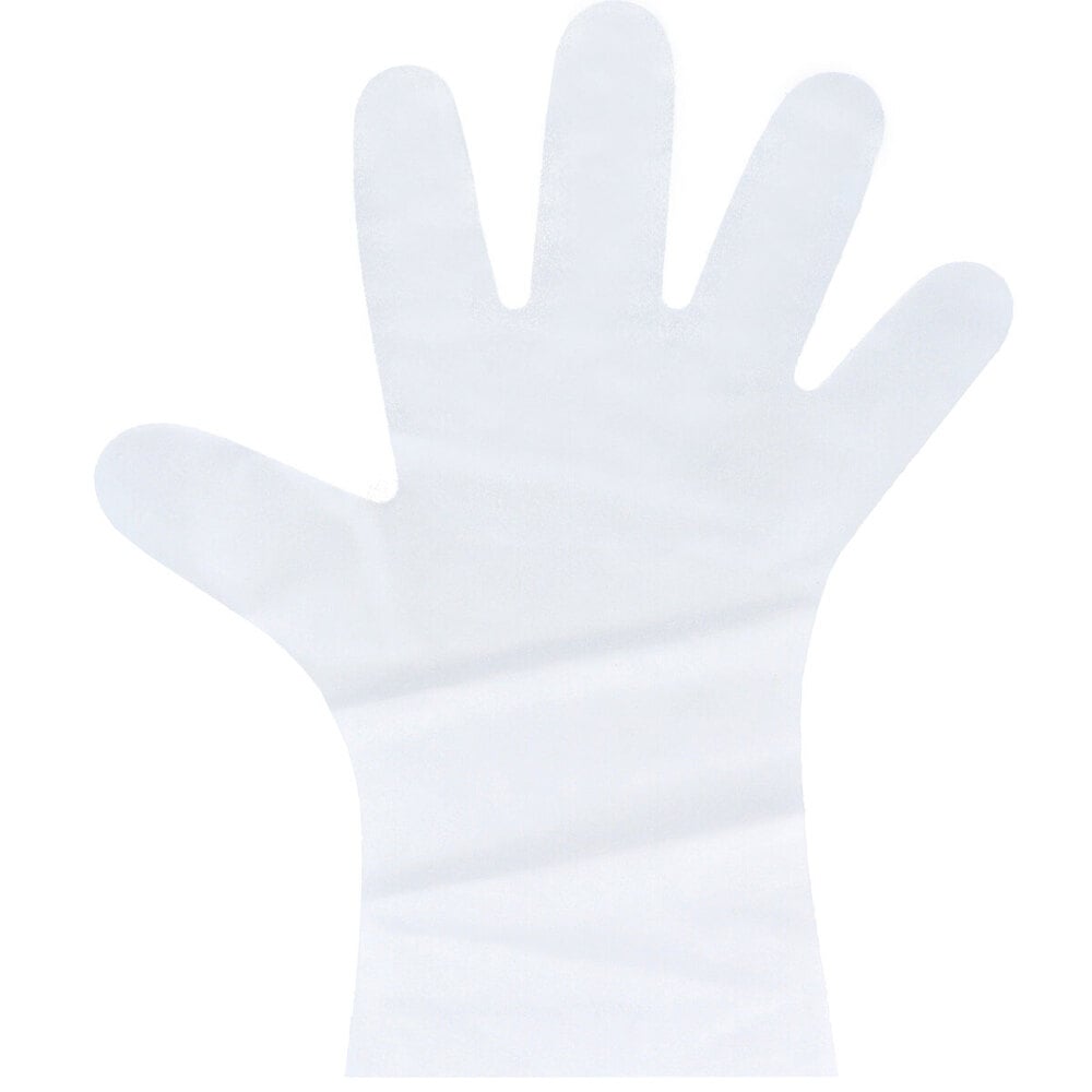 エブノ　【業務用】No.3061 エブケアシルキーグローブ 使い捨て手袋 半透明 箱入 Lサイズ 100枚入　1箱（ご注文単位1箱）【直送品】