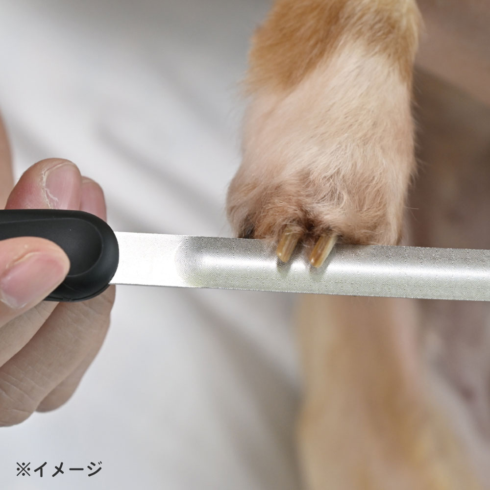 グリーンベル ペット用 カーブつめやすり 2WAY シニア猫&全犬種 PE-003 1個(ご注文単位1個)【直送品】