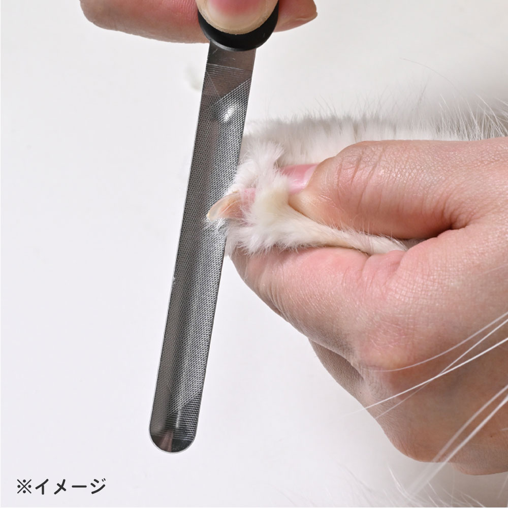 グリーンベル ペット用 カーブつめやすり 2WAY シニア猫&全犬種 PE-003 1個(ご注文単位1個)【直送品】