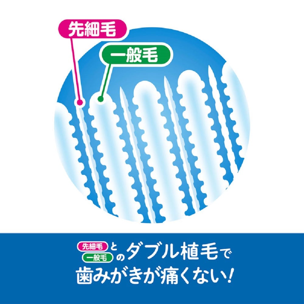 ケイジェイシー エジソンの仕上げ歯ブラシ 2本入 1パック(ご注文単位1パック)【直送品】