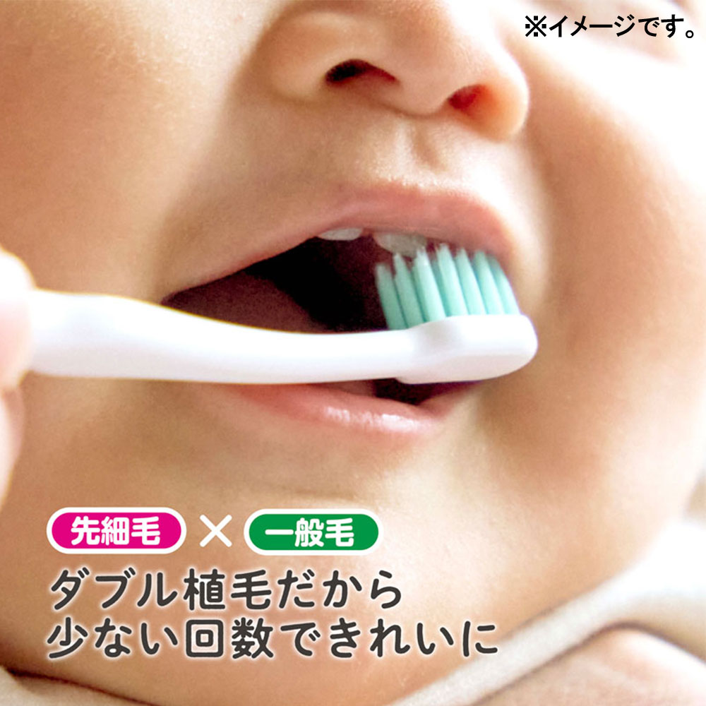 ケイジェイシー エジソンの仕上げ歯ブラシ 2本入 1パック(ご注文単位1パック)【直送品】