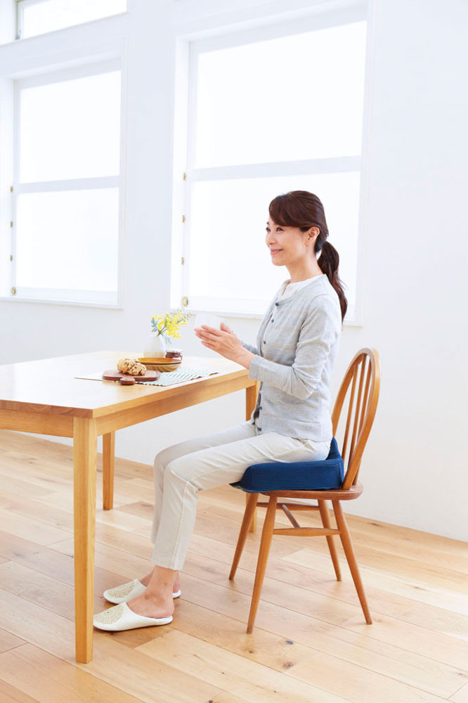 コジット 腰痛対策クッション ネイビー 1個(ご注文単位1個)【直送品】