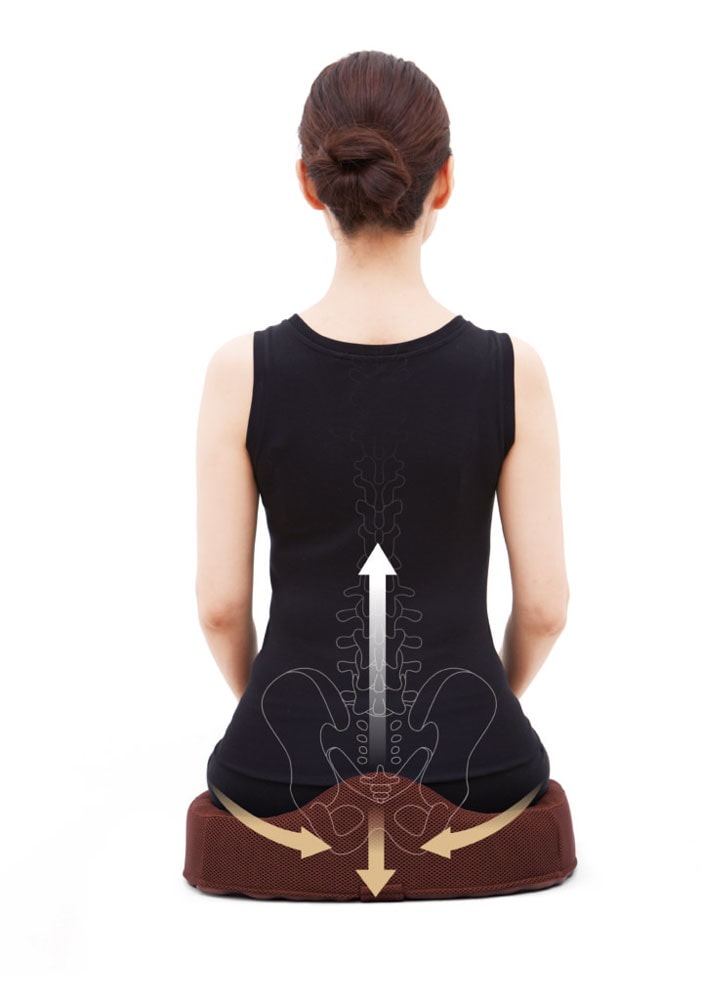 コジット　腰痛対策クッション ブラウン　1個（ご注文単位1個）【直送品】