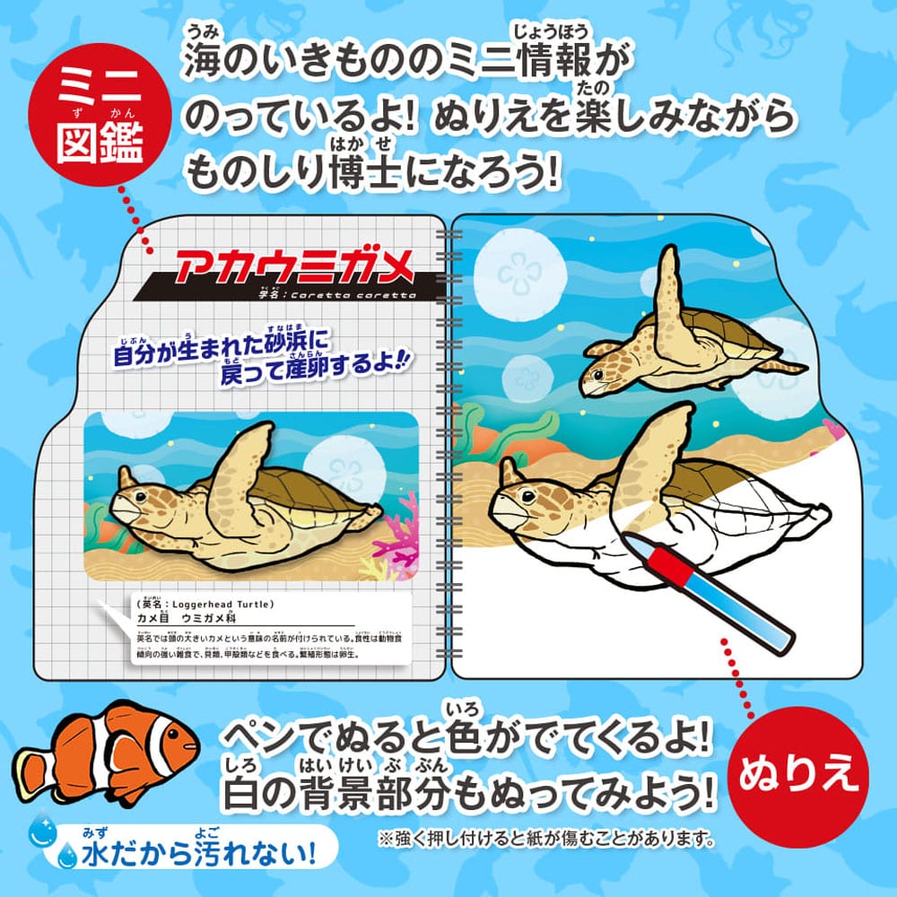 シルバーバック　水ぬりえ 海のいきもの図鑑 1セット（ご注文単位1セット）【直送品】