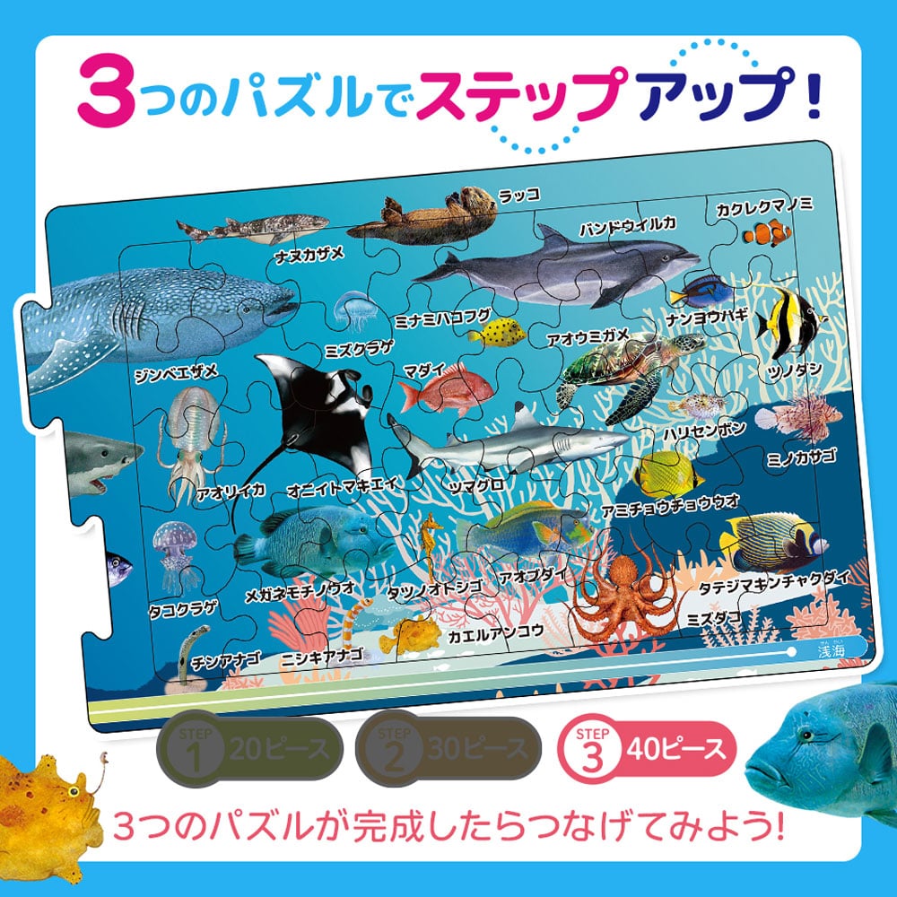 シルバーバック つなげるパズル図鑑 海のいきもの 1セット(ご注文単位1セット)【直送品】