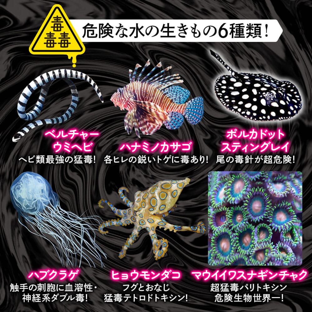 シルバーバック 毒毒毒 危険な水の生きもの CUBE 3×3(キューブ スリーバイスリー) 1個入 1個(ご注文単位1個)【直送品】