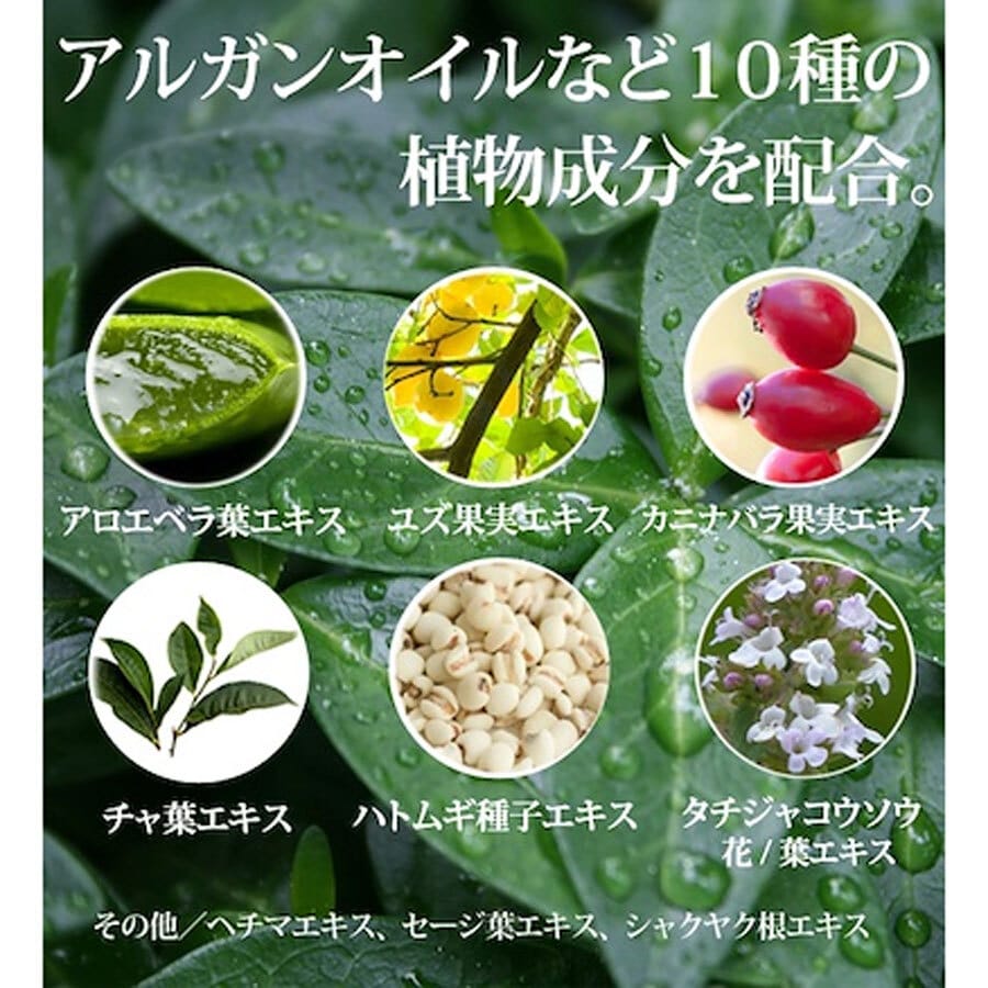 ナチュリア プロステージ ボタニカル オールインワンローション フォーメン 300mL 1個(ご注文単位1個)【直送品】