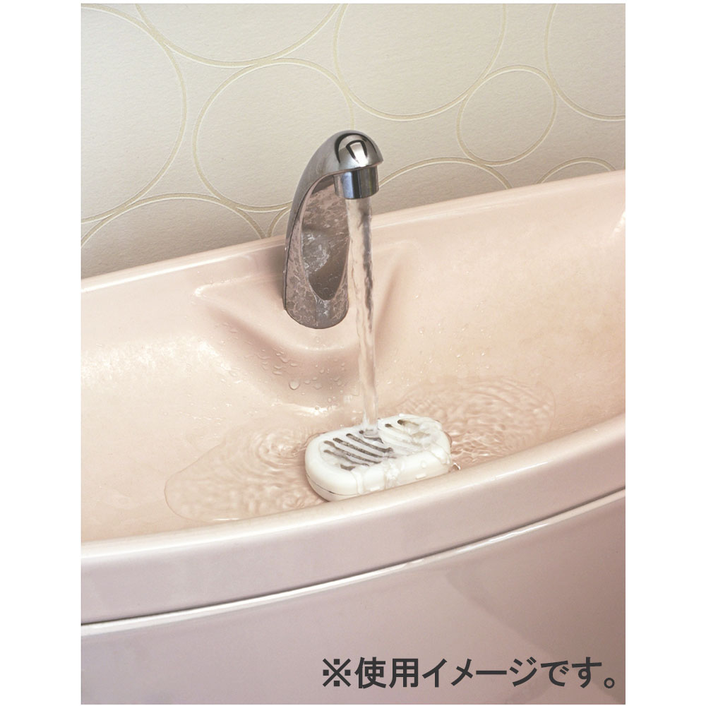 ビッグバイオ ニオイのち晴れ トイレ用 消臭・尿石剥離剤 2個入 1パック(ご注文単位1パック)【直送品】