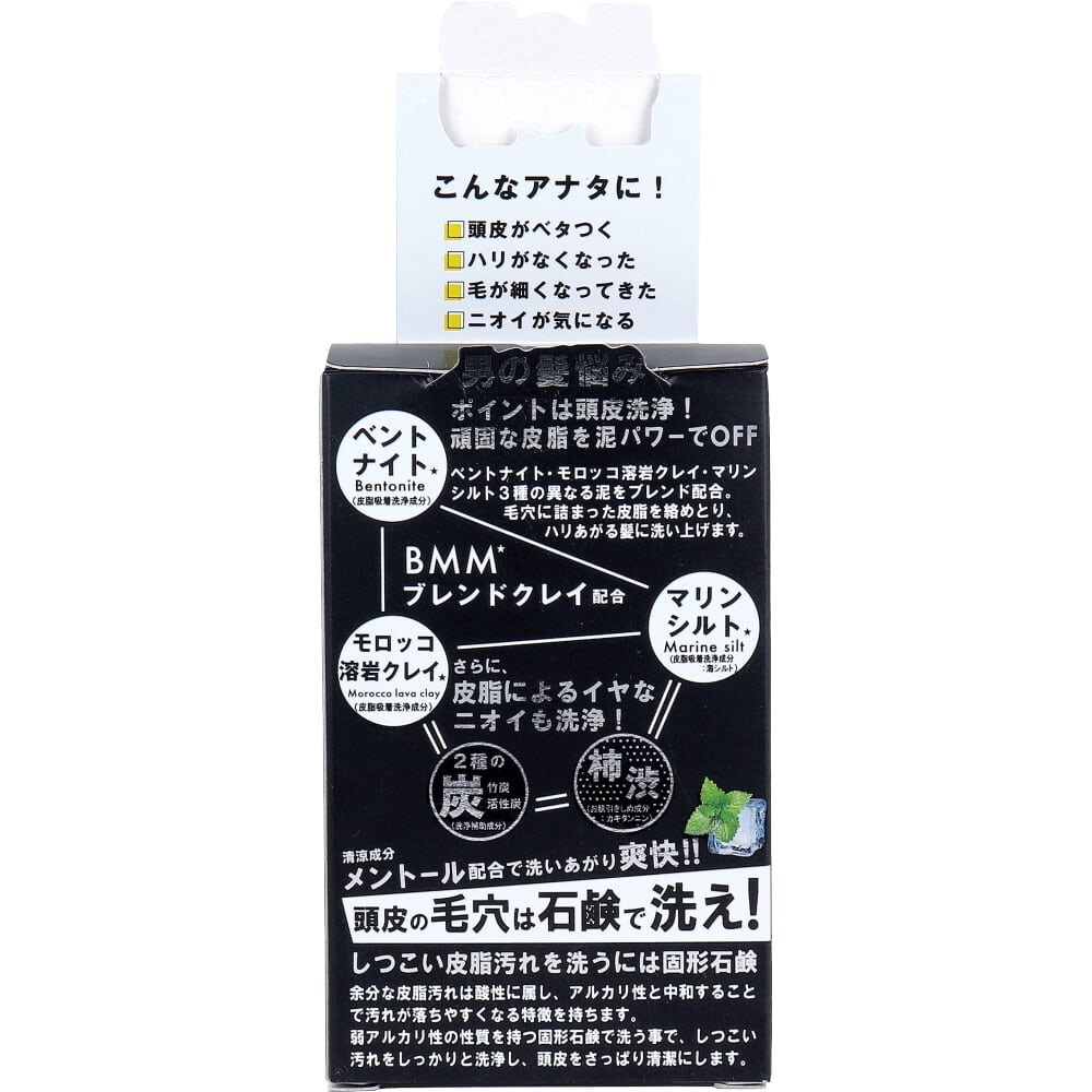 ペリカン石鹸 HARIHAIR(ハリヘア) 頭髪用石鹸 大人なクールウッドの香り 100g 1個(ご注文単位1個)【直送品】