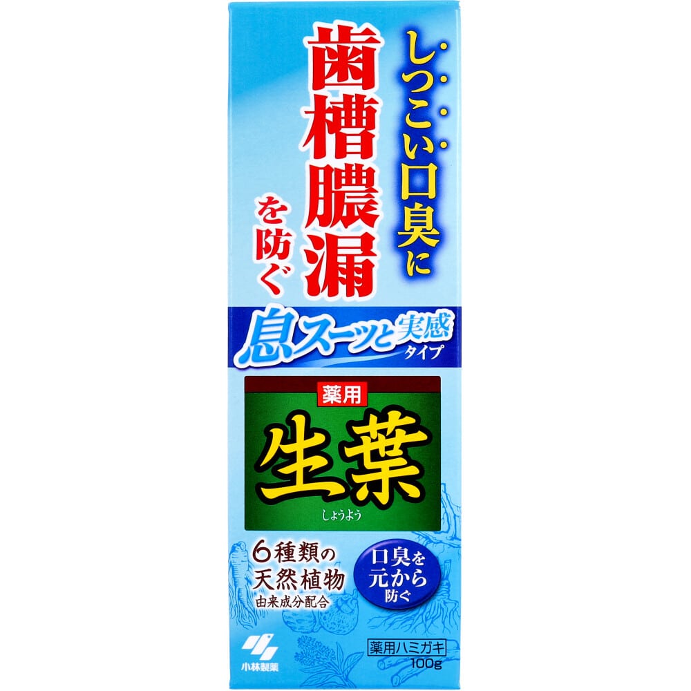 小林製薬　薬用 生葉 息スーッと実感タイプ 100g　1個（ご注文単位1個）【直送品】