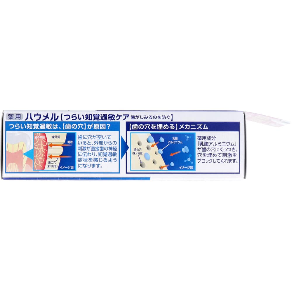 小林製薬 薬用ハミガキ ハウメル フレッシュミント 100g 1個(ご注文単位1個)【直送品】