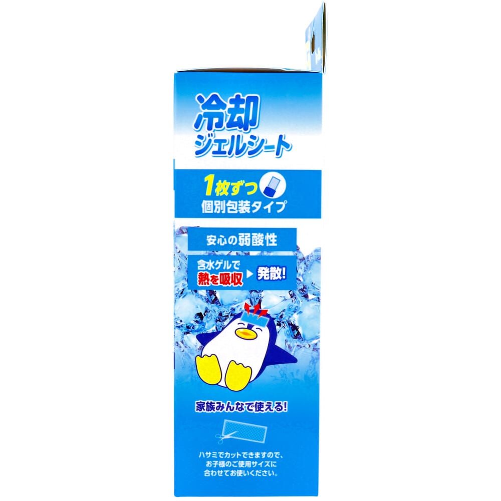 浅井商事 冷却ジェルシート 個別包装タイプ 1枚×16袋入 1パック(ご注文単位1パック)【直送品】