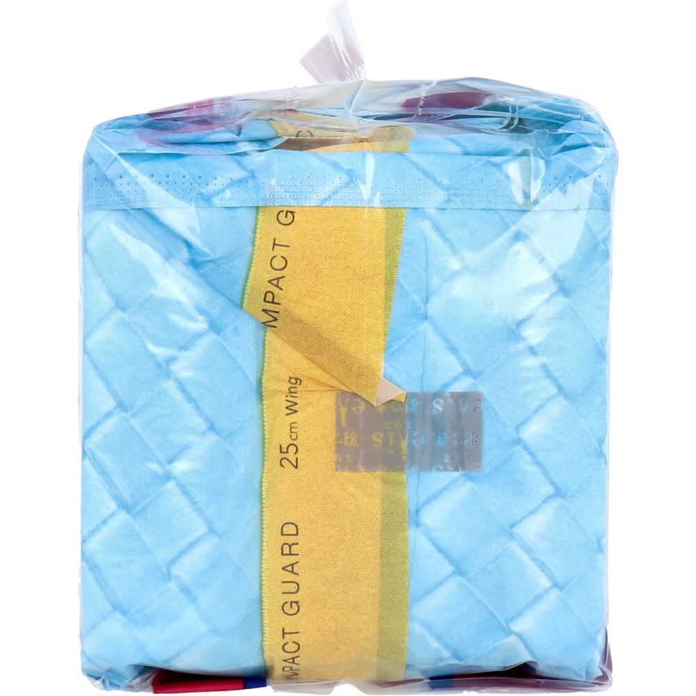 大王製紙 エリス コンパクトガード 特に多い昼用 羽つき 25cm 19コ入 1パック(ご注文単位1パック)【直送品】