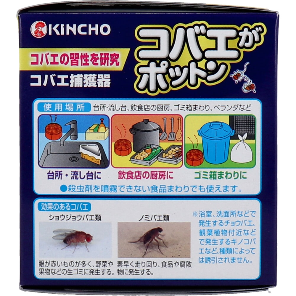 大日本除虫菊 金鳥 コバエがポットン 置き型 3個入 1パック(ご注文単位1パック)【直送品】