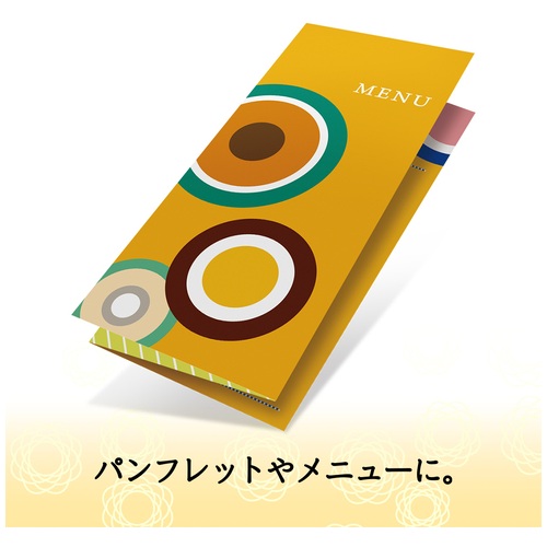 プラス PLUS インクジェット用紙 厚手マット紙 両面 A4判 20枚入 IT-W122MC 46-117 1冊（ご注文単位1冊）【直送品】