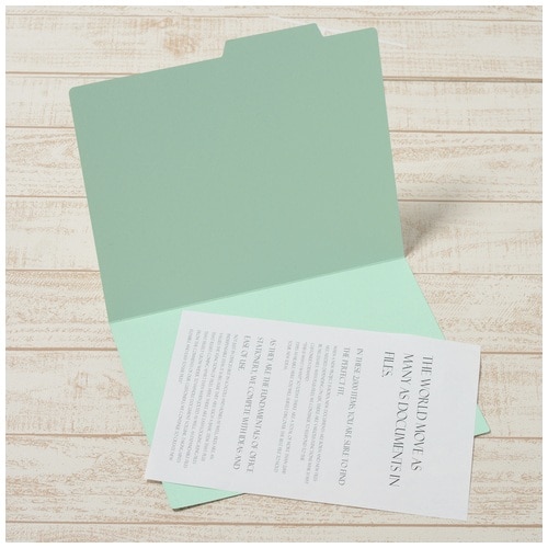 プラス PLUS 間伐材 個別フォルダーA4E BL ブルー 1袋(ご注文単位1袋)【直送品】