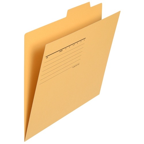 プラス PLUS 間伐材 個別フォルダーA4E YL イエロー 1袋(ご注文単位1袋)【直送品】