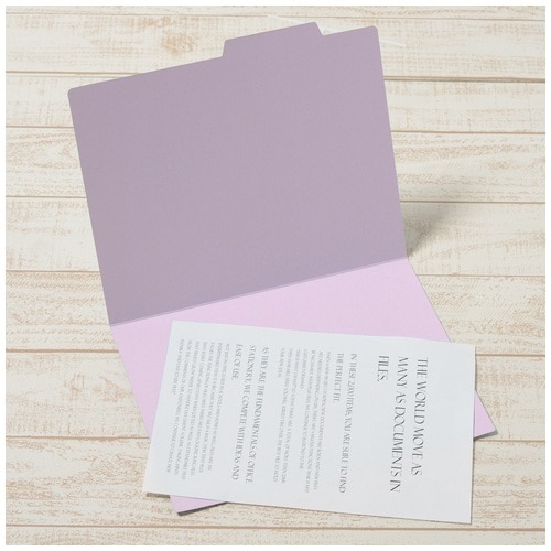 プラス PLUS 個別フォルダー FL-061IF バイオレット A4-E 87-062 10枚/袋(ご注文単位1袋)【直送品】