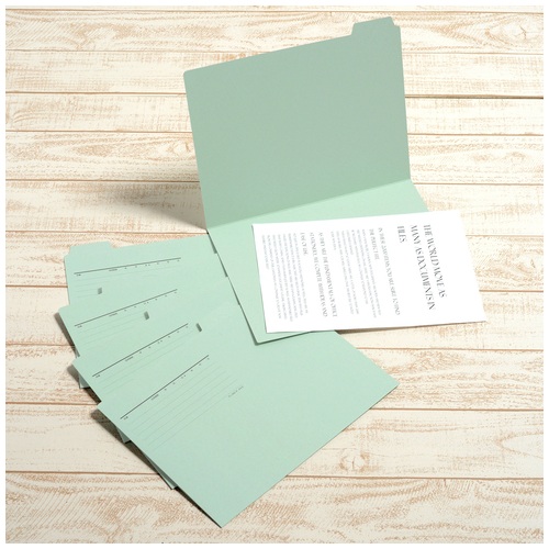 プラス PLUS カットフォルダー A4横マチなし 5山 FL-065IF 87-385 ブルー 1袋(ご注文単位1袋)【直送品】