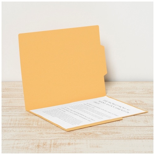 プラス PLUS 個別フォルダー ラテラルファイリングサプライズ A4 イエロー 87-467 10枚/袋(ご注文単位1袋)【直送品】