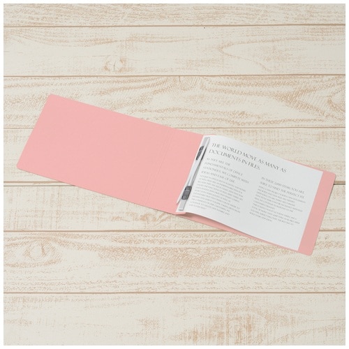 プラス PLUS フラットファイル 厚とじ A5-E 500枚とじ ピンク 87-608 1袋(ご注文単位1袋)【直送品】