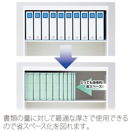 プラス PLUS フラットファイル セノバスエコノミー つづりひも A4S ブルー 88-435 1冊(ご注文単位1冊)【直送品】