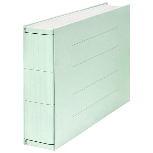 プラス PLUS 背幅伸縮セノバスエコノミーA3E FL002SH BL 88475 FL-002SH BL 1冊（ご注文単位1冊）【直送品】