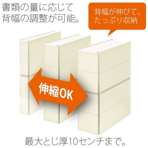 プラス PLUS フラットファイル A4縦 2穴 背幅伸縮セノバス FL-021SS 88-615 アイボリー 1セット（ご注文単位1セット）【直送品】