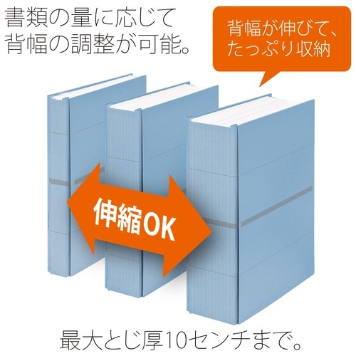 プラス PLUS フラットファイル A4縦 2穴 背幅伸縮セノバス FL-021SS 88-618 ブルー 1冊(ご注文単位1冊)【直送品】