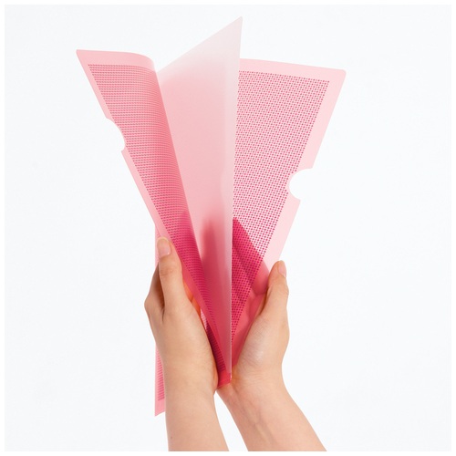 プラス PLUS カモフラージュホルダー ハード仕切り付 A4 FL-129CH ピンク 89-574 1冊（ご注文単位1冊）【直送品】