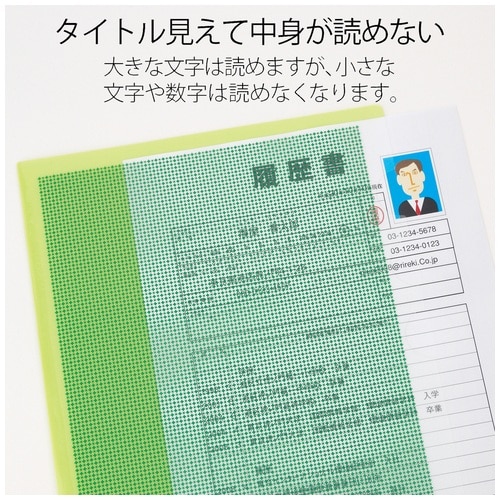 プラス PLUS カモフラージュ 仕切り付ホルダー・3ポケットA4 FL-131CH グリーン 89-582 1冊(ご注文単位1冊)【直送品】