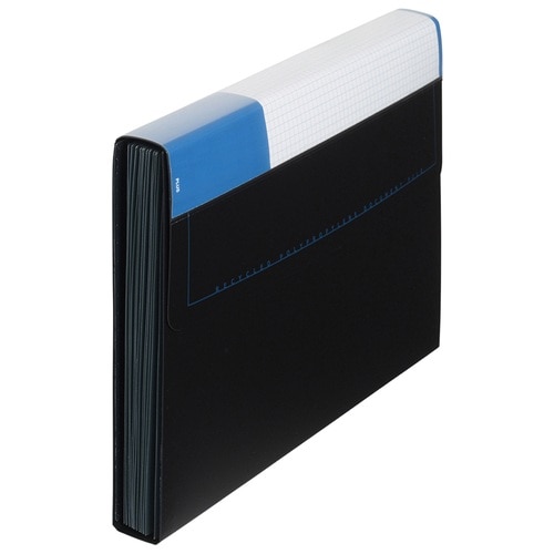 プラス PLUS ドキュメントファイル 再生PP A4 13ポケット 背幅35mm 92-126 ブルー 1冊(ご注文単位1冊)【直送品】