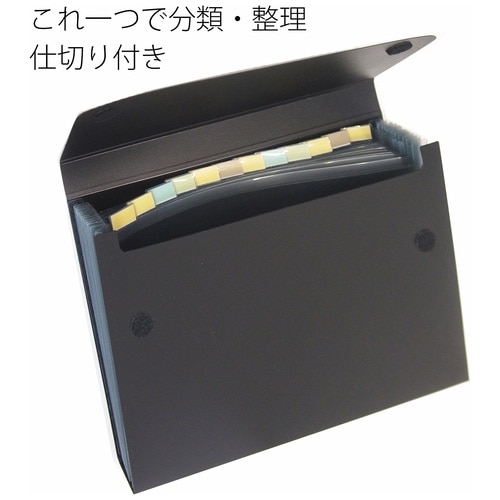 プラス PLUS ドキュメントファイル 再生PP A4 13ポケット 背幅35mm 92-126 ブルー 1冊(ご注文単位1冊)【直送品】