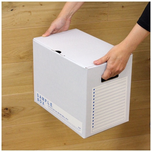 プラス PLUS ファイルボックス エコノミー サンプル用 A4横 幅200mm 96-516 ブルー 1冊(ご注文単位1冊)【直送品】