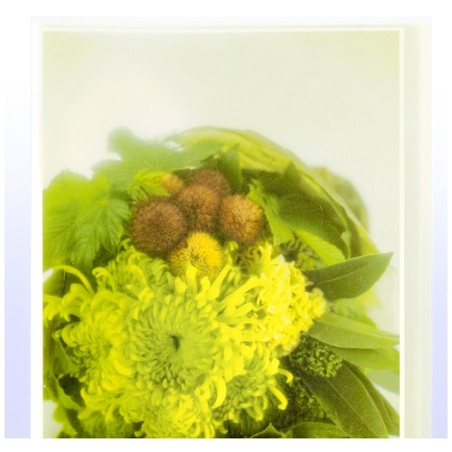 プラス PLUS シンプルクリアーファイル FC-210SC A4-S 10ポケット グリーン 98-152 1冊(ご注文単位1冊)【直送品】