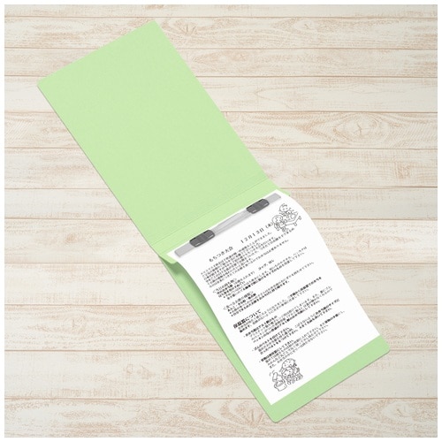 プラス PLUS フラットファイル縦罫A5E No.042NT R 10冊 グリーン 1袋（ご注文単位1袋）【直送品】