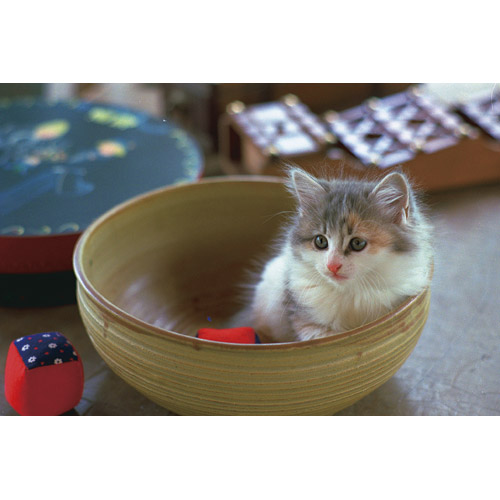 スマートバリュー 写真用光沢紙 A4 300枚 A029J-3 1セット(ご注文単位1セット)【直送品】