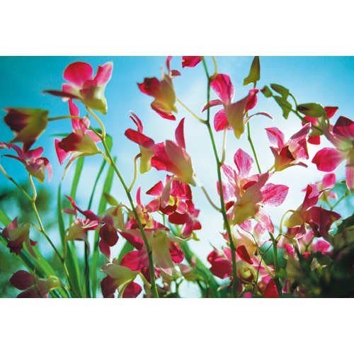 スマートバリュー 写真用光沢紙 A4 300枚 A029J-3 1セット(ご注文単位1セット)【直送品】