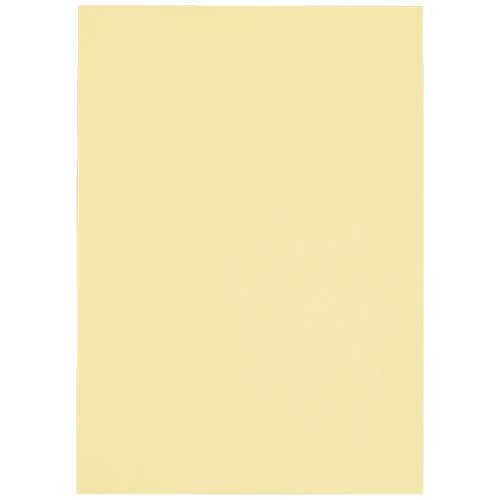 スマートバリュー カラーペーパー 特厚 B4 クリーム A282J-2 500枚/冊（ご注文単位1冊）【直送品】