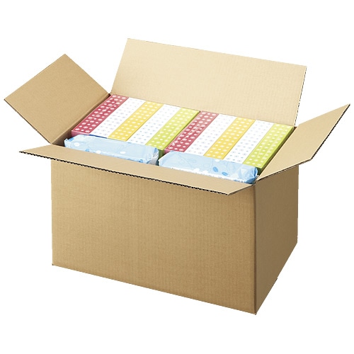 ジョインテックス ダンボール箱 大大 30枚 B022J-LL-3 1セット（ご注文単位1セット）【直送品】